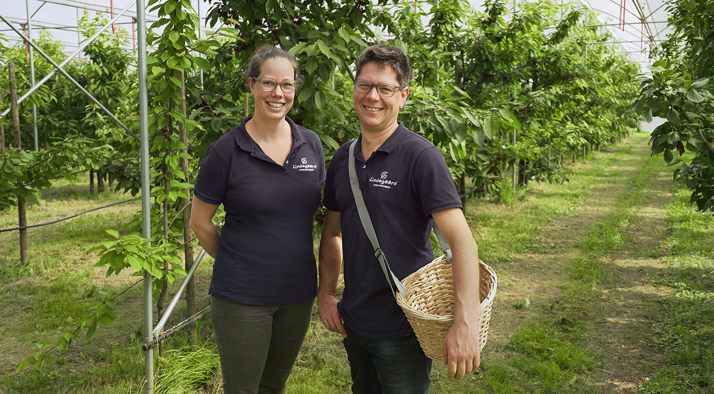 We volgen de appel van de boom tot aan de mond